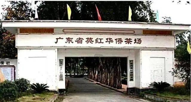 广东汕头富豪排行榜_汕头前5大富豪名单曝光!这个澄海人排名第二...