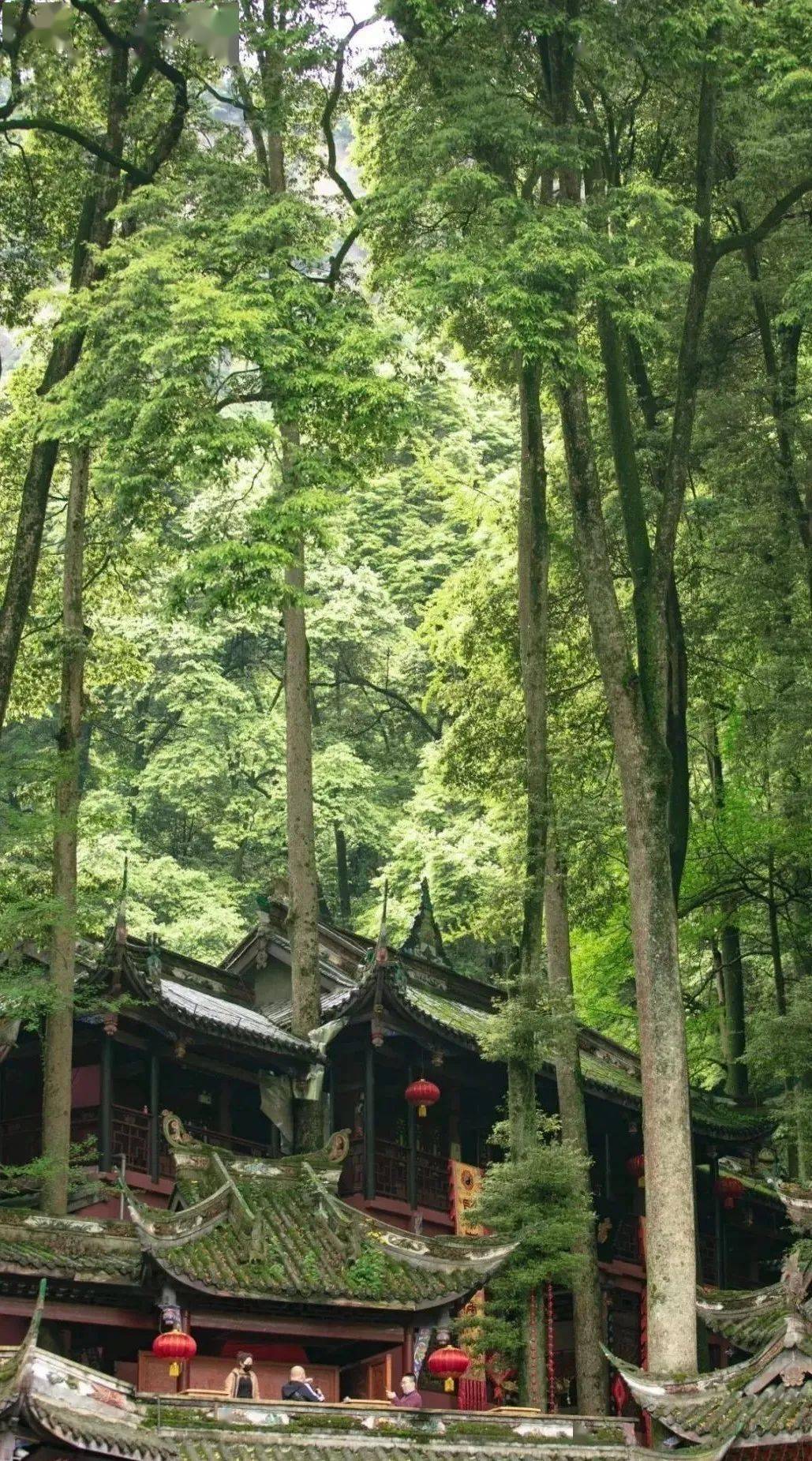 道教|那些藏于青城山的绝美古迹，每一个都有讲不完的故事！