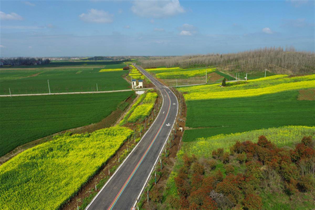 襄阳樊城区一号公路油菜花海入选湖北特色油菜花海赏花经济助力农旅