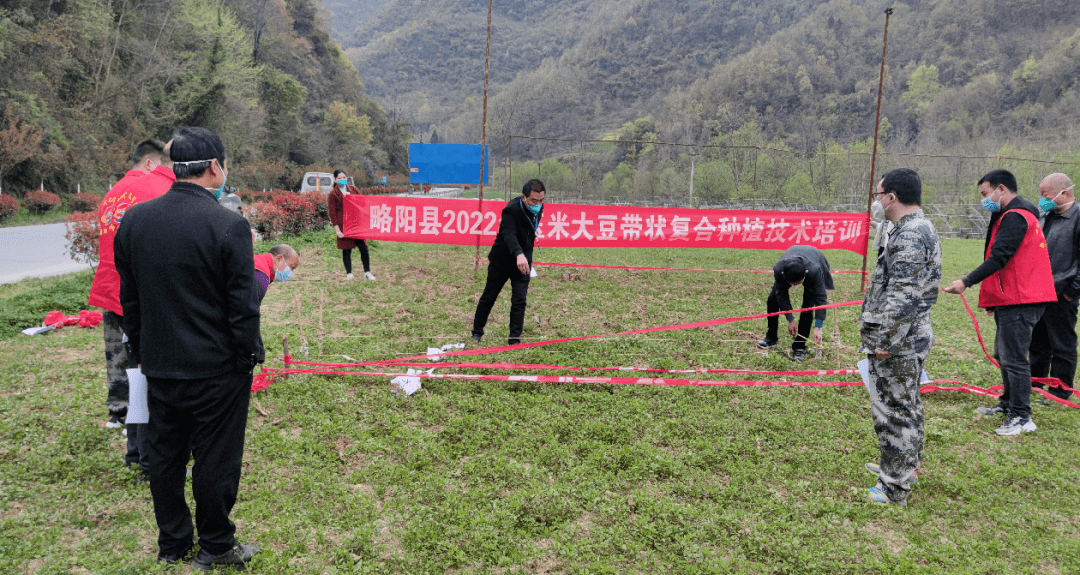 金家河镇三举措推进大豆玉米带状复合种植工作