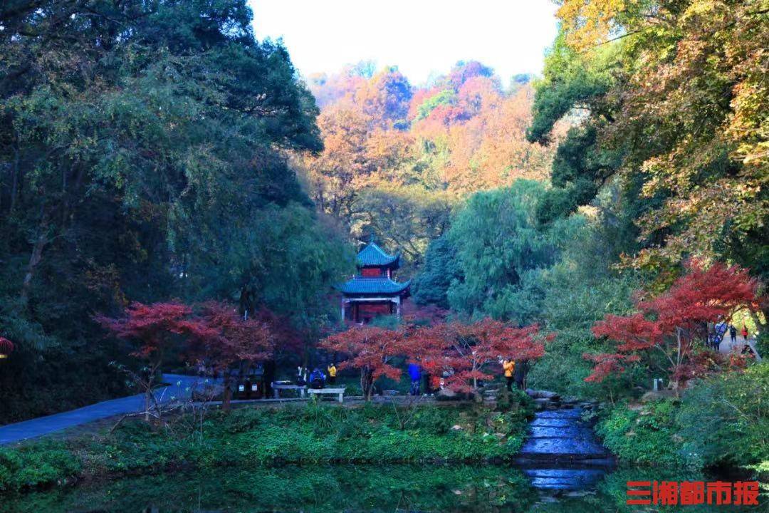 浏阳市|长沙多处文旅场所暂停对外开放，含芙蓉区、望城区、浏阳市辖内所有景区