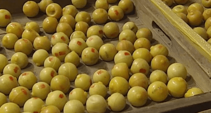 斑疹太神奇了!睡前花15分钟做这事,“色斑”没了,人也年轻好几岁!