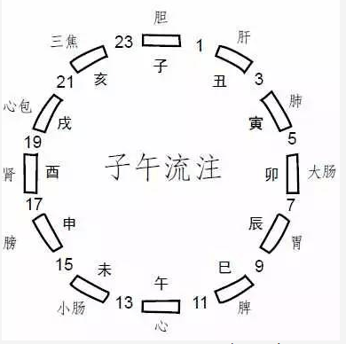 子午流注學說認為,經絡氣血運行各有其盛衰,以一天十二時辰流注十二經