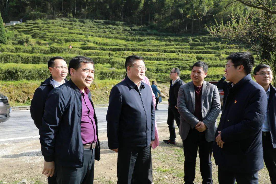 鲍峰庭在武功山风景名胜区调研时强调接续推动乡村振兴扎实推进共同