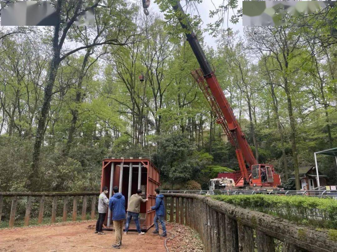 門當戶對喜結良緣杭州動物園重磅新娘出嫁啦