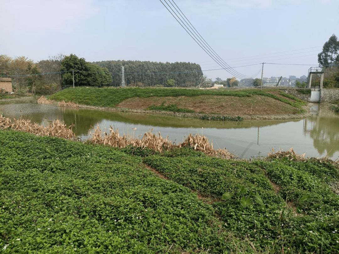 這7種尾水處理技術模式大有前景三池兩壩一池一渠岸基一體化等你看好