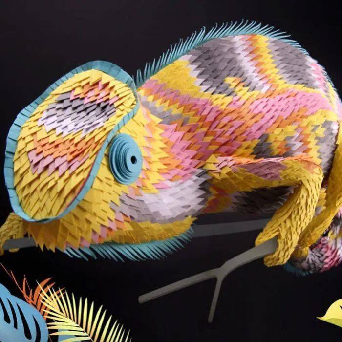 丽莎说:我曾经是一名动画师,使用过纸张,织物,粘土各种材料,最终我爱