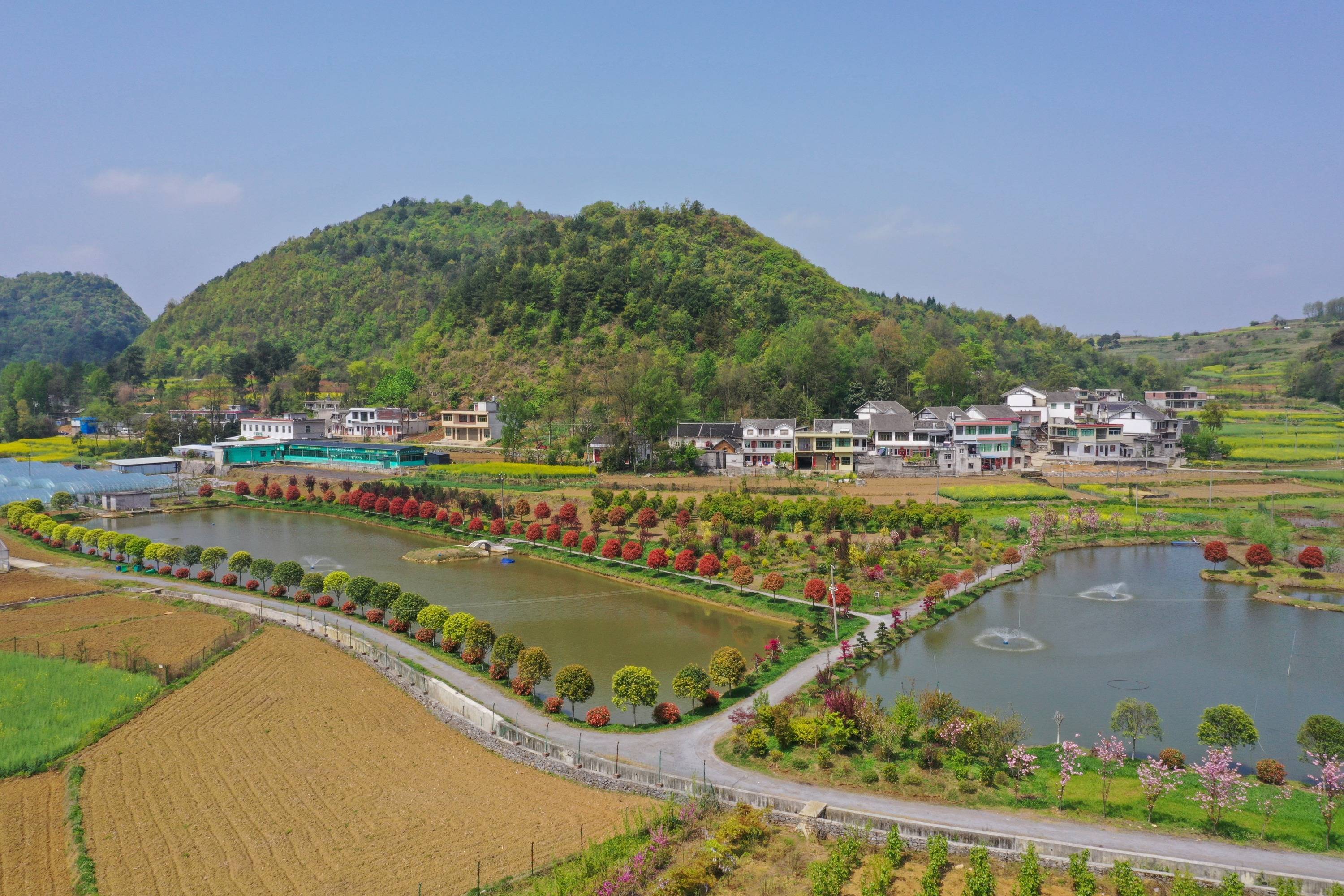 黔西县钟山镇图片