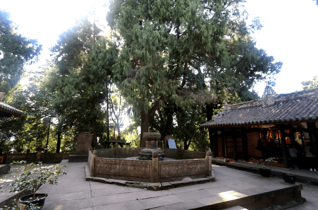 成行,然而却减少了后金柱与前檐柱,这种"减柱造"与峨眉山元代建筑飞来