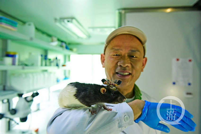 脑机结合 首次发现大脑里不为人知的"指南针"_实验_张生家_空间