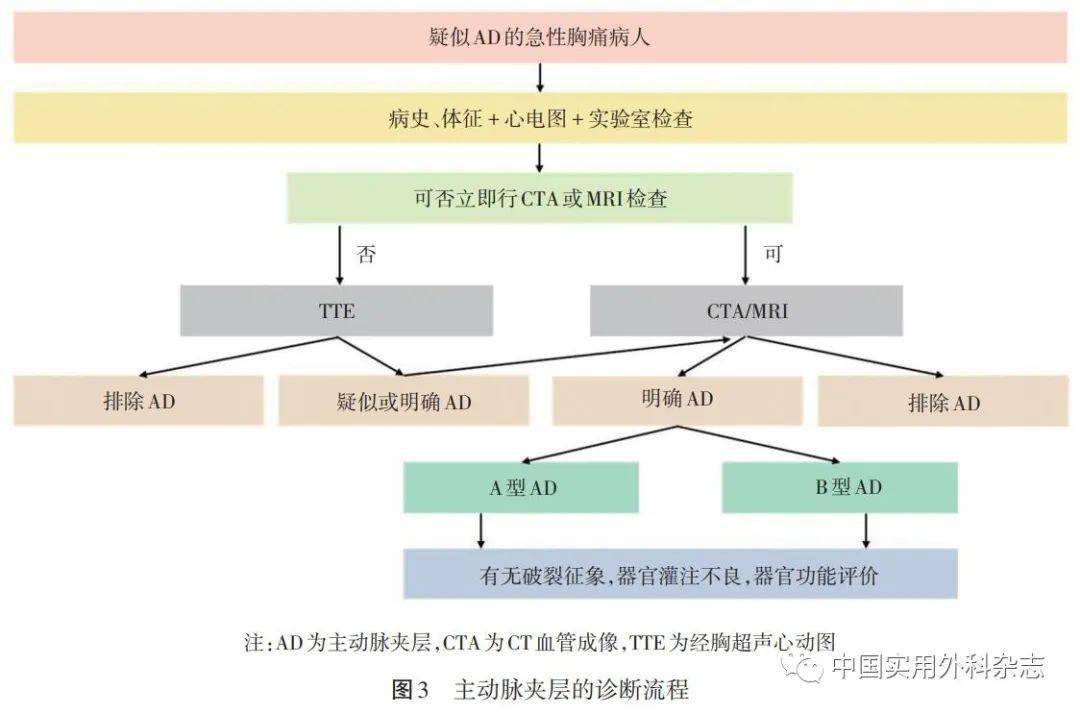 stanford分型图片