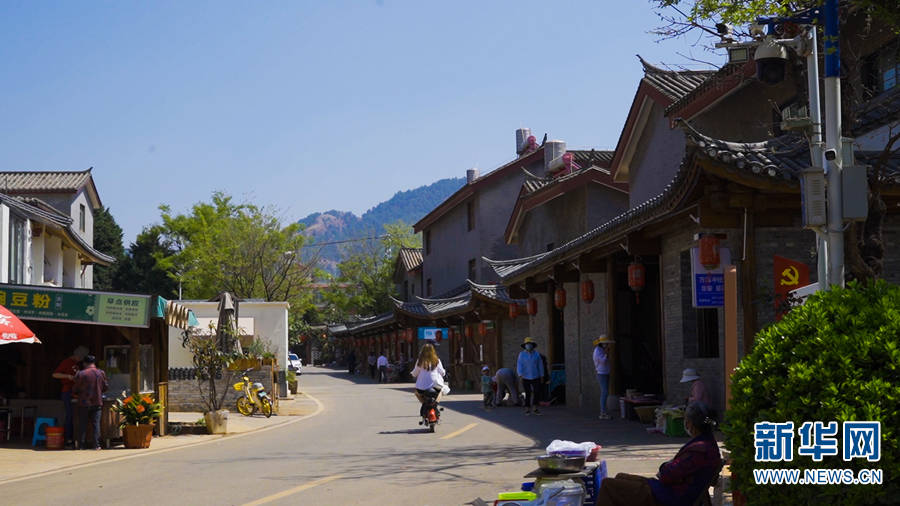 乡村振兴在行动昆明万溪冲梨花开放这十年