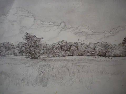 写生中央美院教授朝戈素描