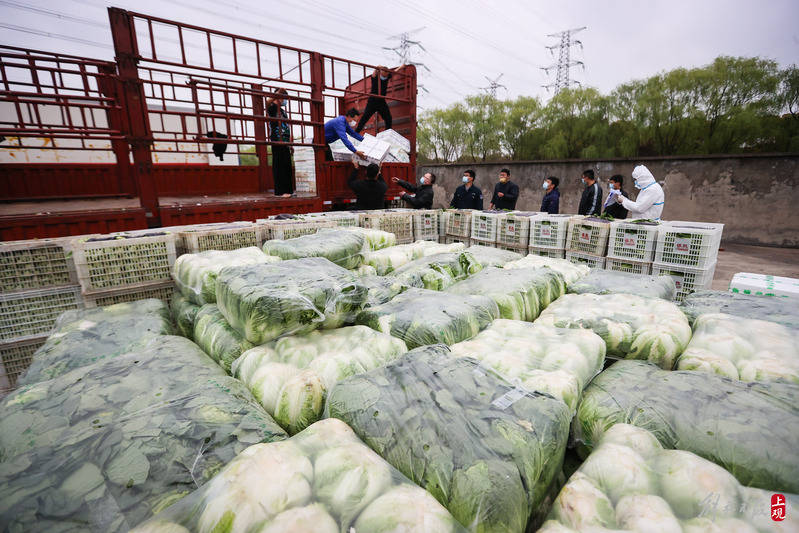 41辆货车满载情谊安徽阜阳1000吨蔬菜农副品运抵上海送往徐汇和松江