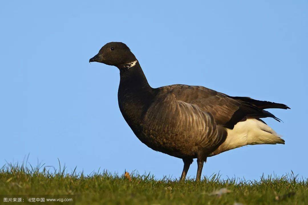 疫情后的首度出访英国王室夫妇威廉凯特潜水去了