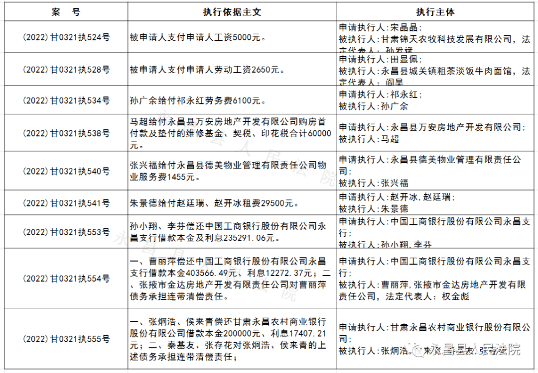 永昌县人民法院执行庭3月1日-3月15日新收案被执行人名单_财产_申报表