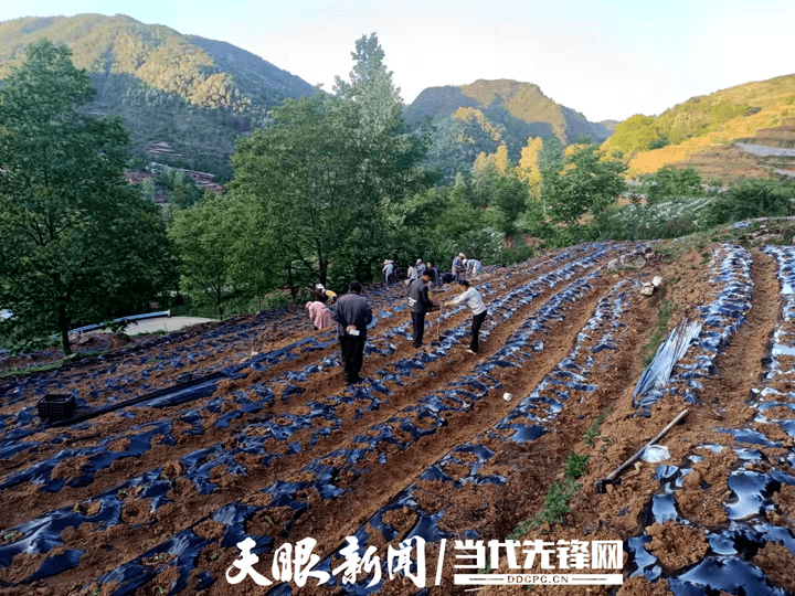 赫章县辅处乡党员乡村能人引领示范促发展