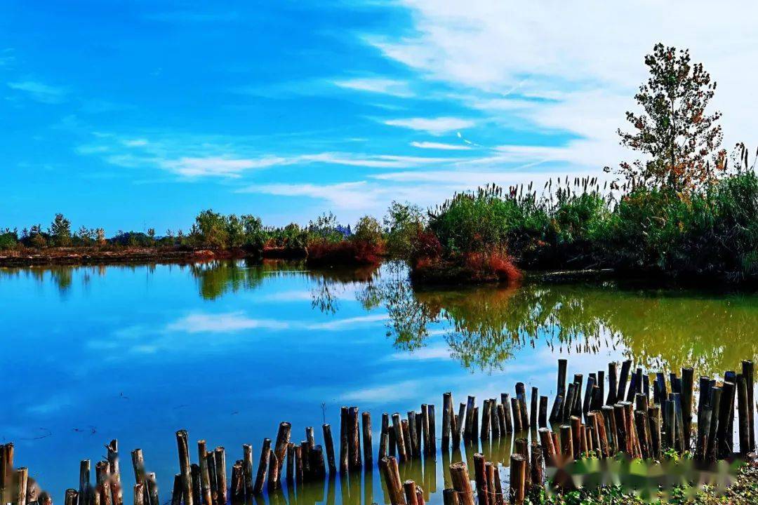 美得不像话无滤镜未美颜的素面朱湖