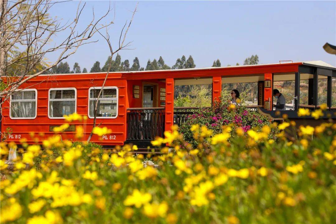 每天往返4趟与其他两种小火车的观光模式不同开远南北轨道交通列车