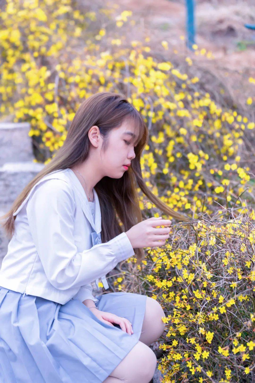 请直接看图……_廖文萱_夏依达_周欣怡