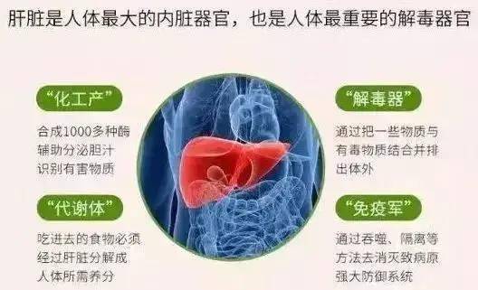 它是身体的哑巴器官病变肿大都无痛感发现5个信号一定要重视了