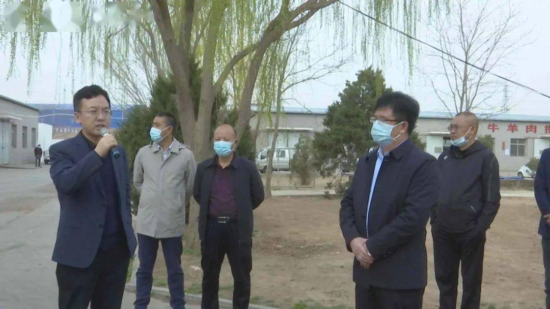 县人大常委会调研全县肉牛和滩羊养殖产业发展情况_同心县_养殖_肉牛