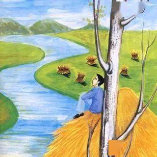 【整本书阅读】《青铜葵花》知识清单,阅读测试!_曹文轩_生活_城市