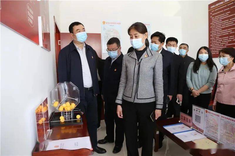 来到富平县人民法院调研指导工作,县委副书记,政法委书记亢鹏,县法院