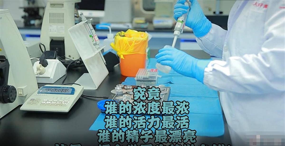 视频中称,参赛者比拼的是精子浓度,活力,形态等.