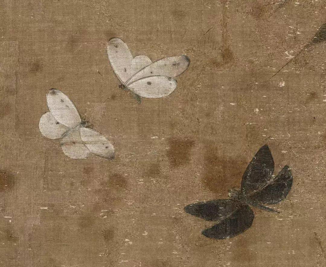 欣赏|北宋画家赵昌工笔花鸟画47图形态逼真敷色鲜艳（4）