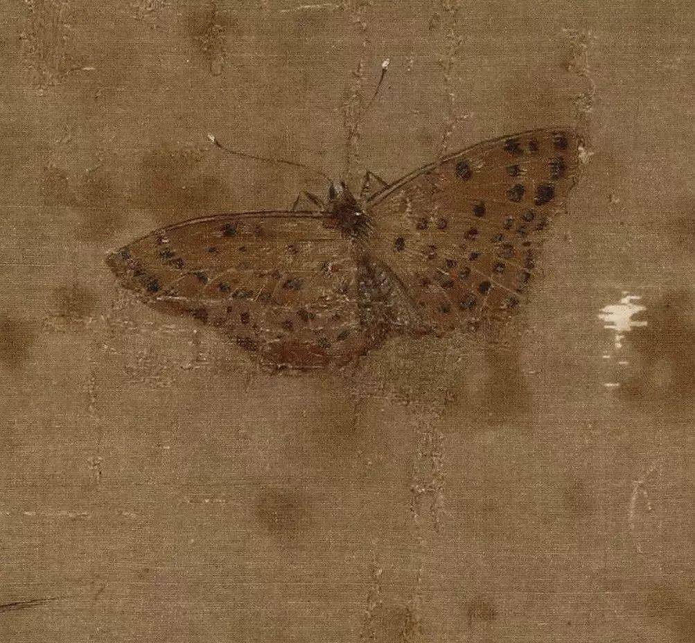 欣赏|北宋画家赵昌工笔花鸟画47图形态逼真敷色鲜艳（4）