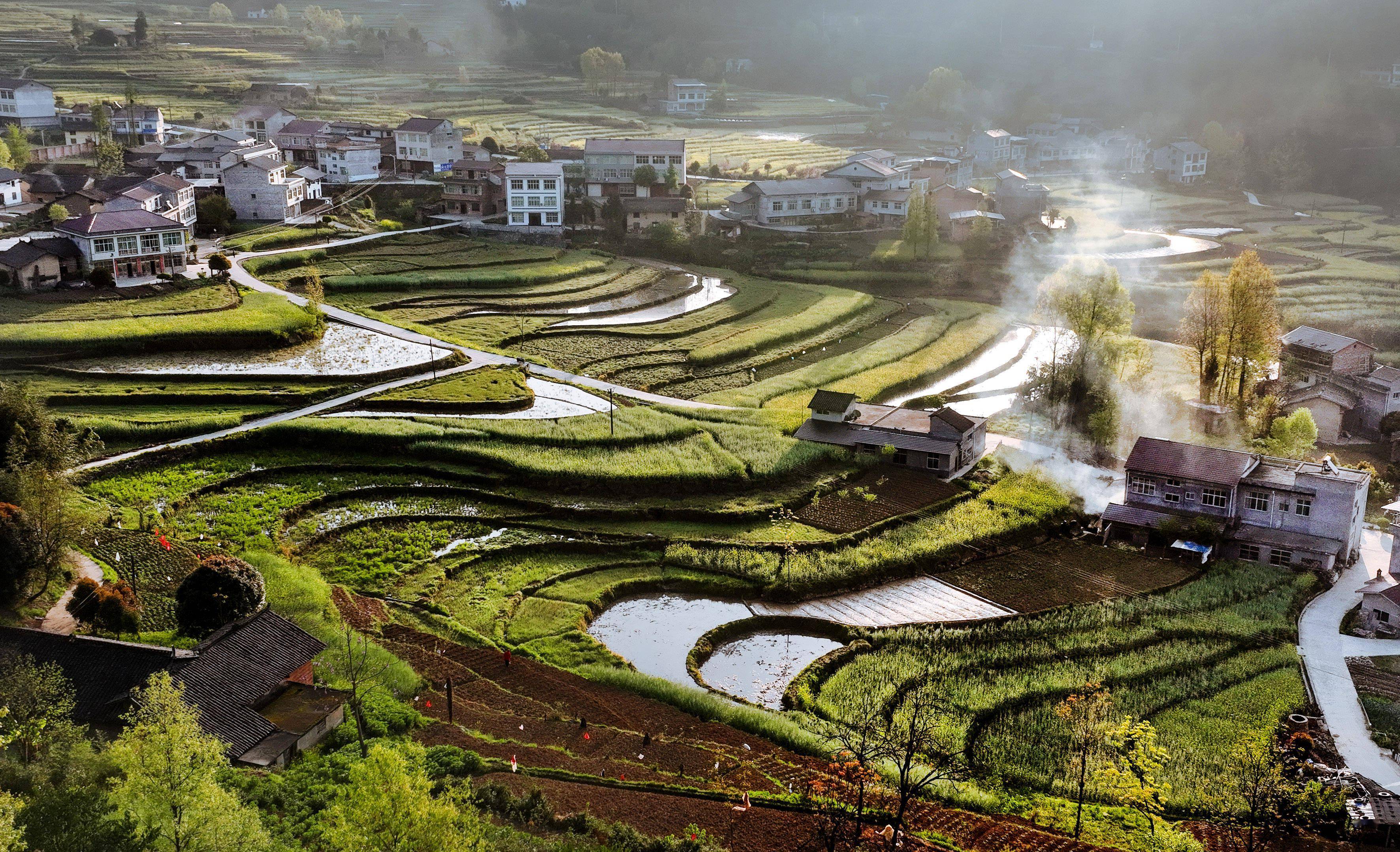 凤阳小田园图片