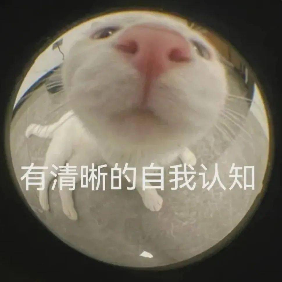 搞笑表情包i这点痛算什么