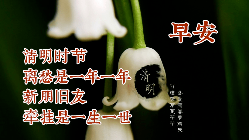 4月4日最新清明节早上好动态表情图片大全清明早上好问候语句子