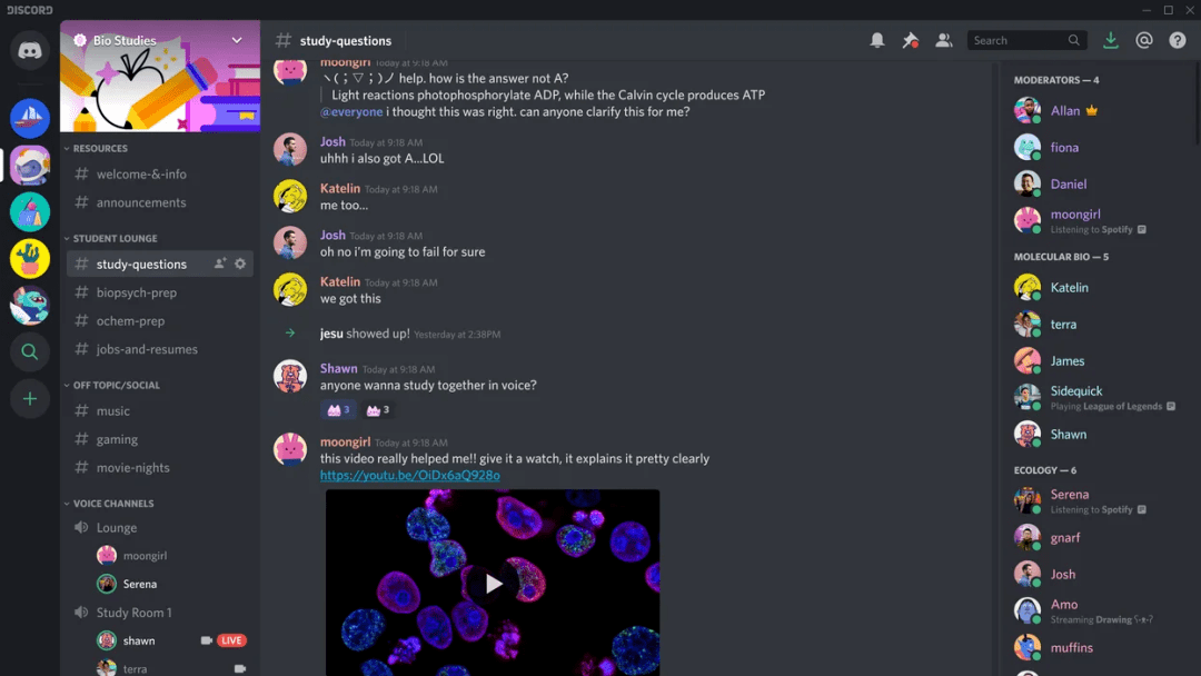 为什么discord 语音聊天不用拨号 创始人jason Citron 对第三空间的理解 游戏 玩家 对讲