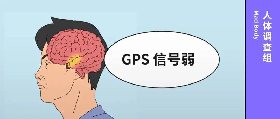 方向感差的原因，我们找到了_东西南北_细胞_大脑