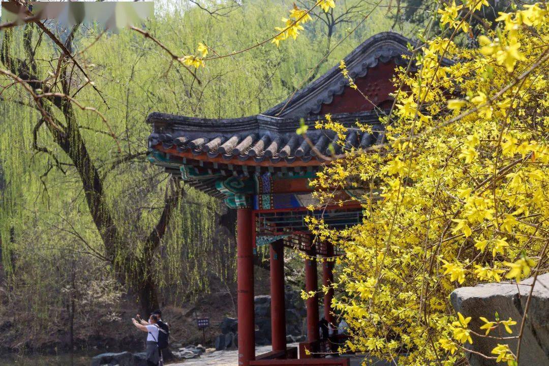 清明香山觅春景文明游园您最美