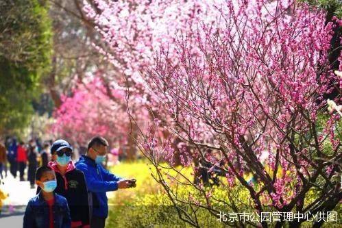 清明假期北京市属公园共接待游客142.23万人次