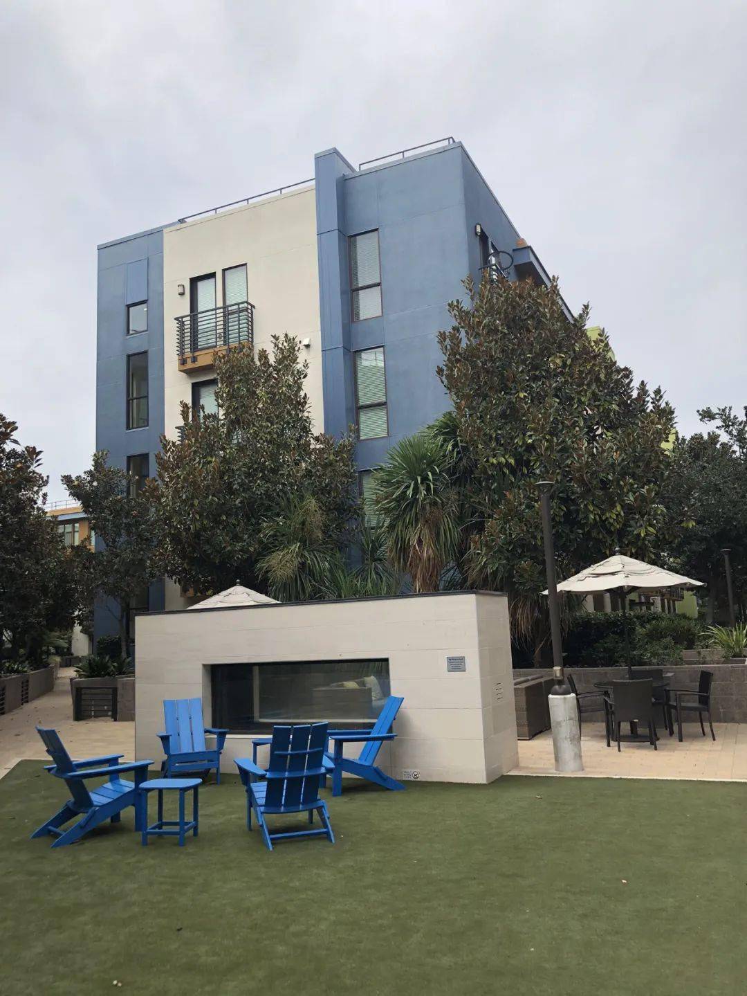 小姐姐在硅谷生活了三年实现了理想的生活模式