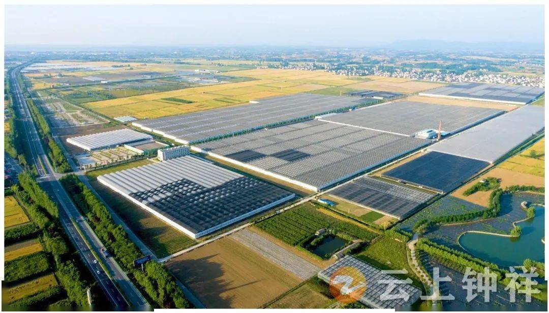 正在公示柴湖镇入选2022年全国农业产业强镇