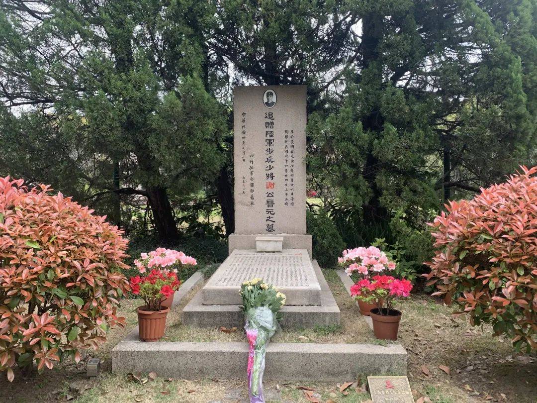 "继英名 承壮志"清明云祭扫系列活动,深切缅怀抗日民族英雄谢晋元将军