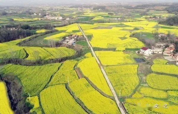 宜城莱公山景点地址图片