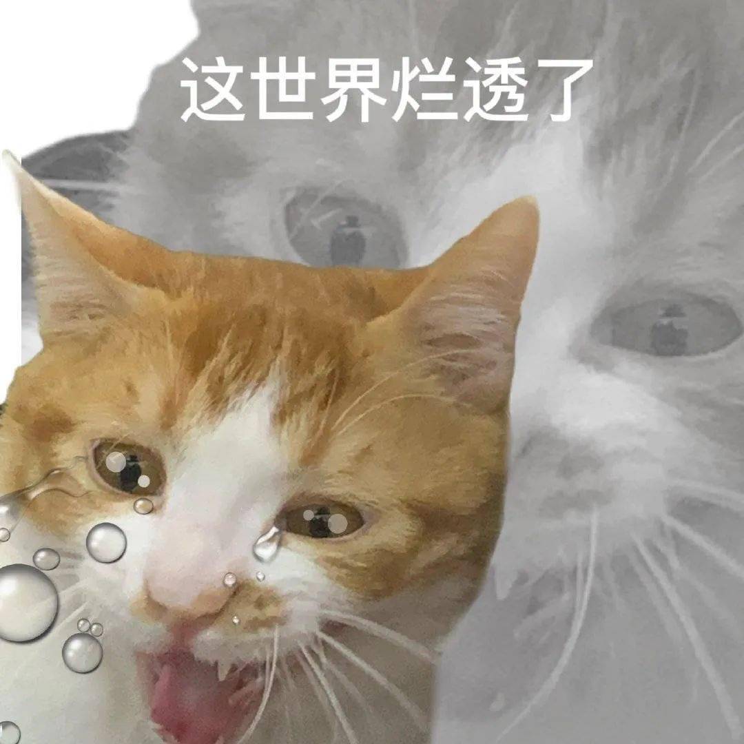 这世界烂透了