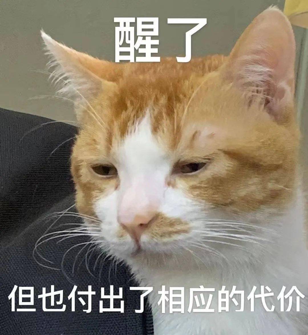这世界烂透了_熊猫头_表情_月亮
