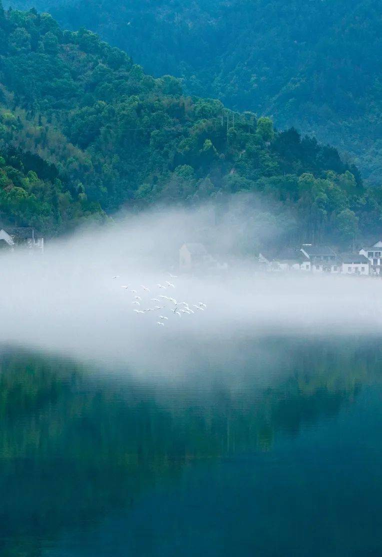 那雾气似一缕轻柔的薄纱缭绕在云和湖,使人好似坠入云雾中,飘飘欲仙