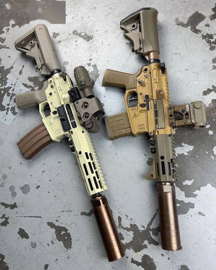 满屏的骚气加装了slr家配件的枪械美图欣赏