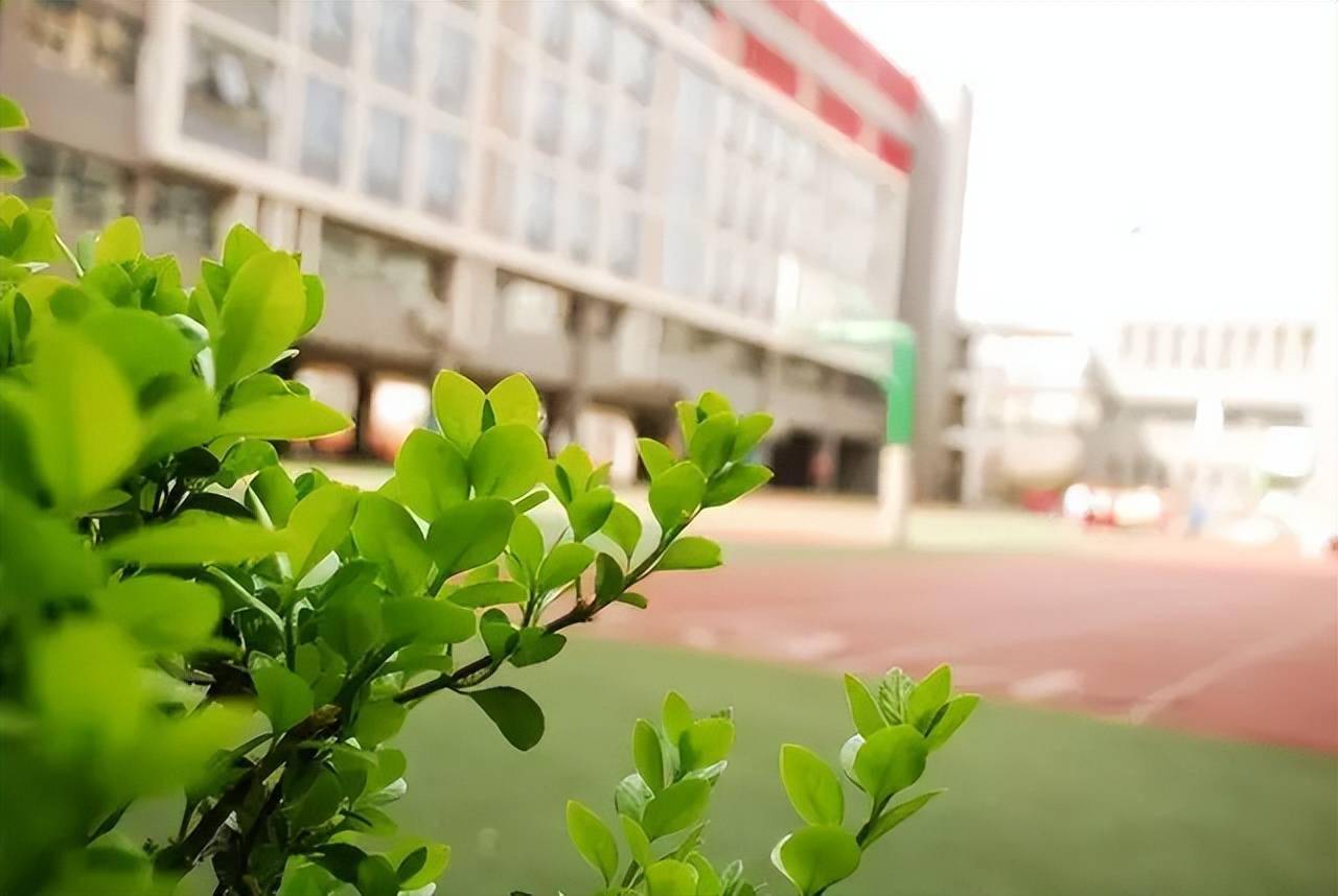 《春滿燕園》(節選)季羨林今天早晨,我又走過校園.