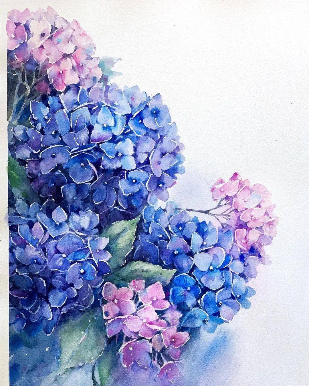 画画步骤菊花丽而不娇傲然临霜怒放于群芳调零之际不畏肃杀尽展其