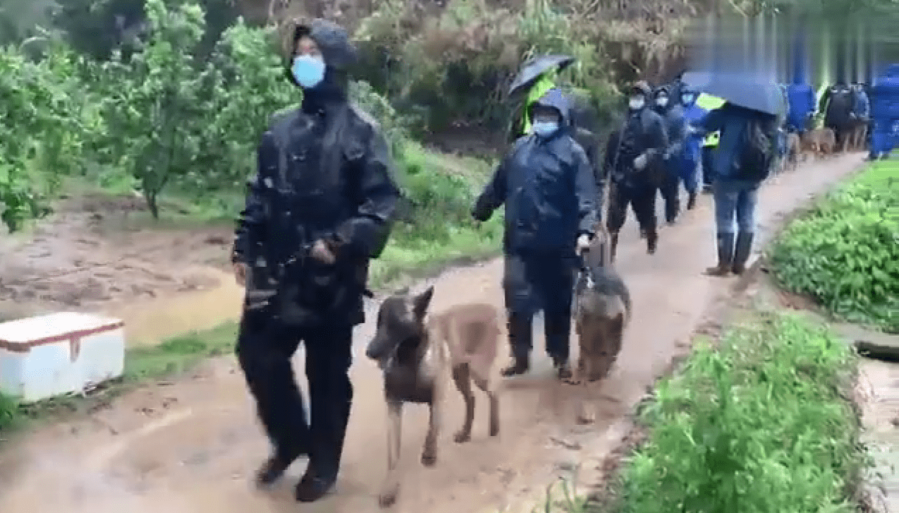 寻回2岁男童 搜救犬立大功 警犬有多厉害 退休后如何安置 训练 嗅觉 人类 寻回2岁男童 搜救犬立大功 警犬有多厉害 退休后如何安置 训练 嗅觉 人类