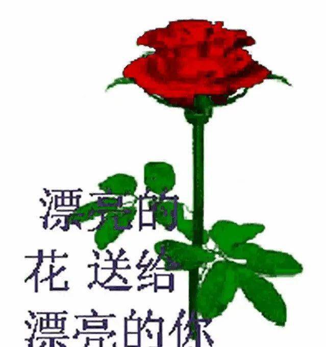 微信图片花朵带字图片